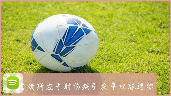 詹姆斯左手肘伤病引发争议球迷称镜头误解引发误会